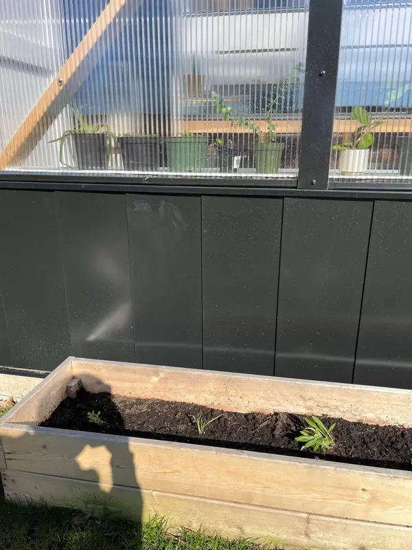 Black flat wall panels below a greenhouse window with a planter